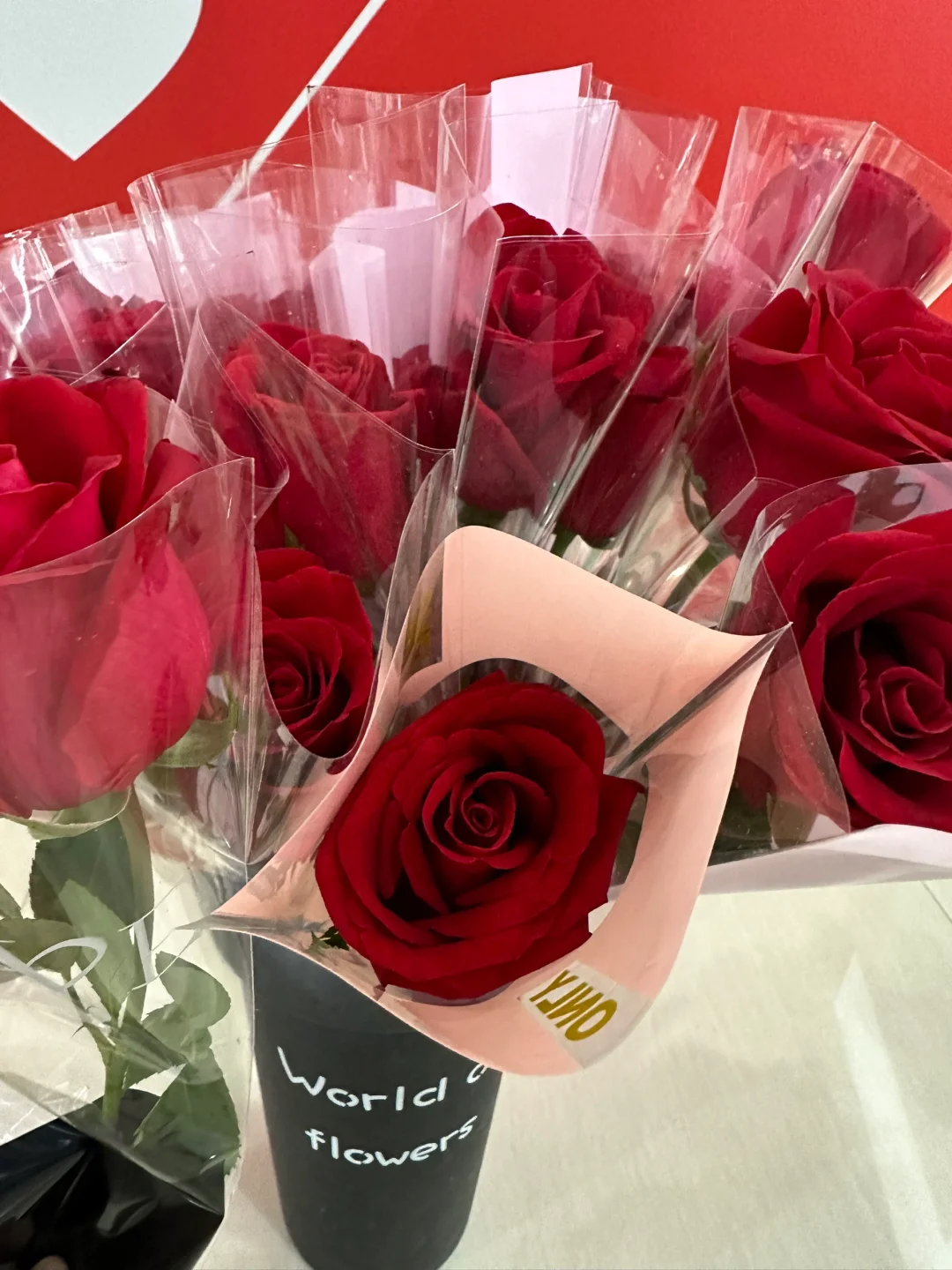 520看电影送玫瑰花，免费！免费！免费！