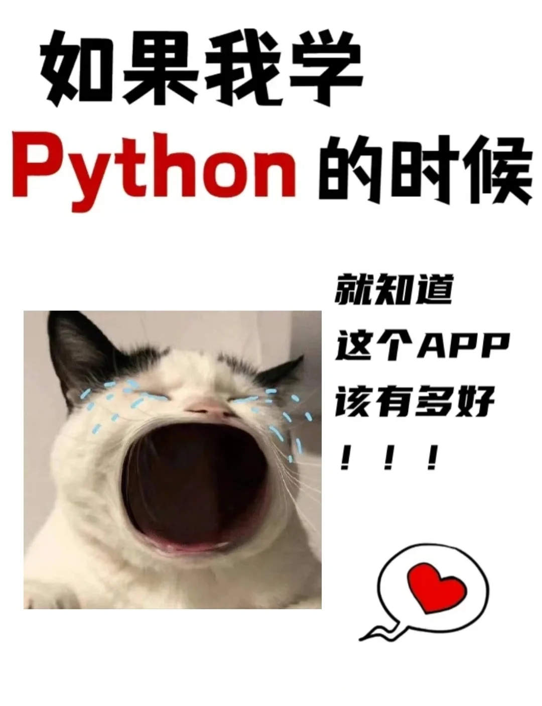 一个可以在手机上学习编程的神仙软件!