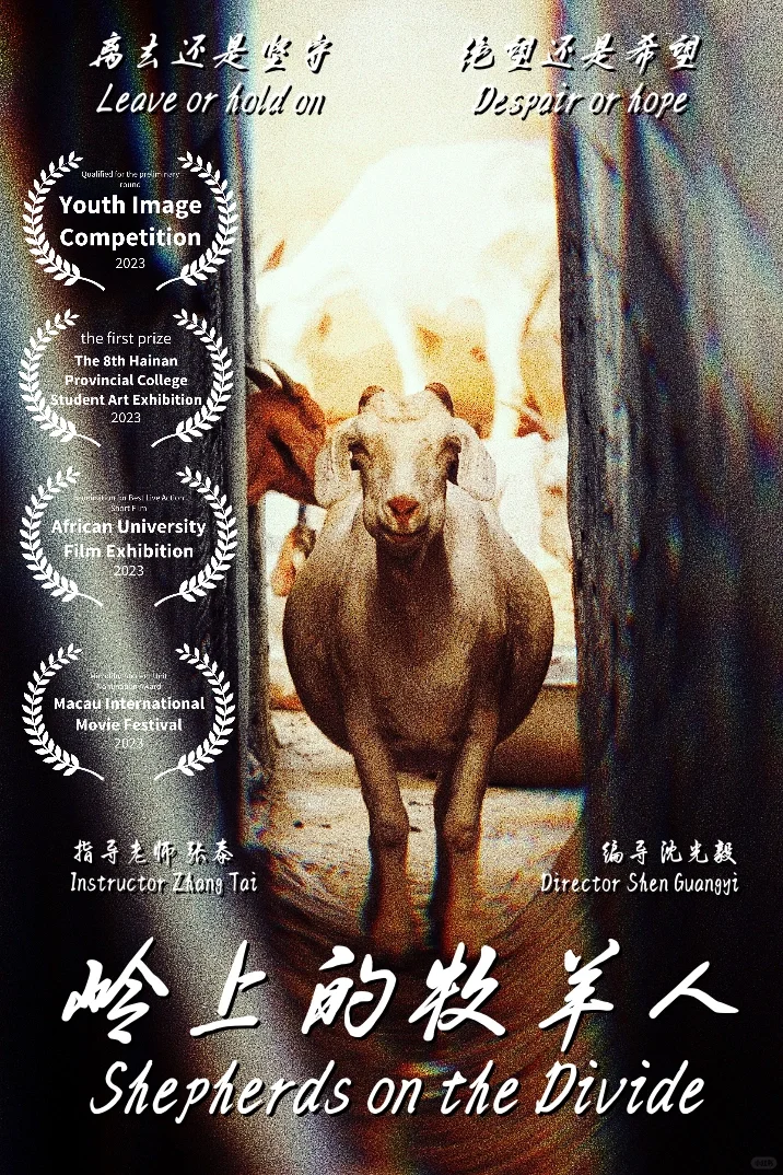 付出在收获！我的电影获奖啦