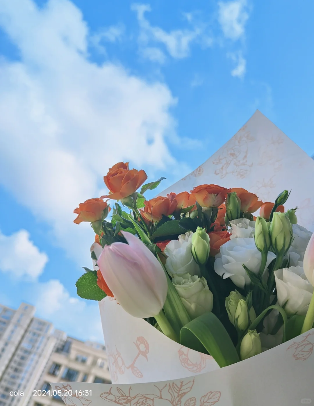 2024年电影第十六部