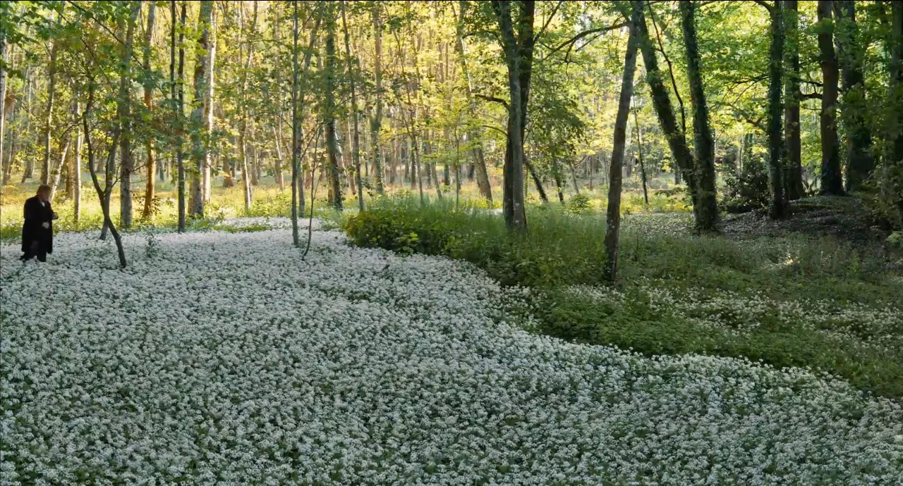 🎞️|一部关于“时间”与“味道”的电影