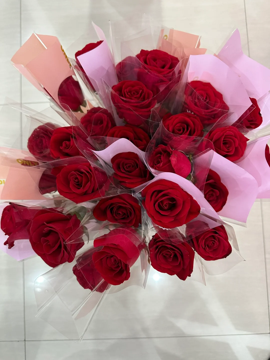 520看电影送玫瑰花，免费！免费！免费！