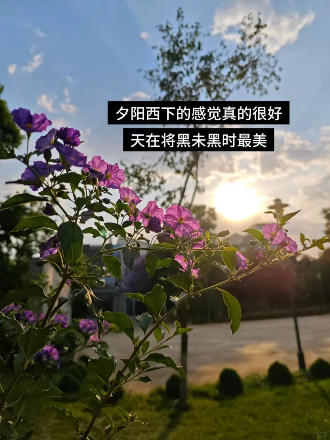 男朋友比我更爱用的情侣app