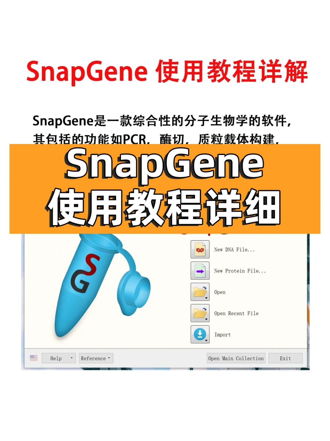SnapGene软件使用教程【医学科研干货!】