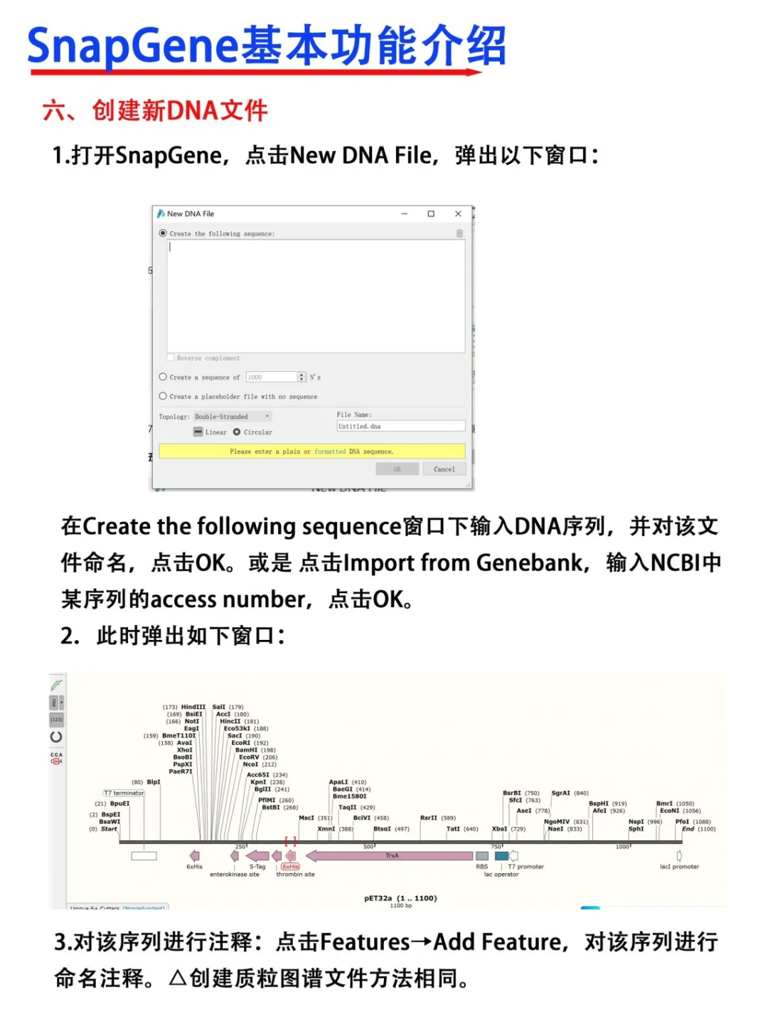 SnapGene软件使用教程【医学科研干货!】