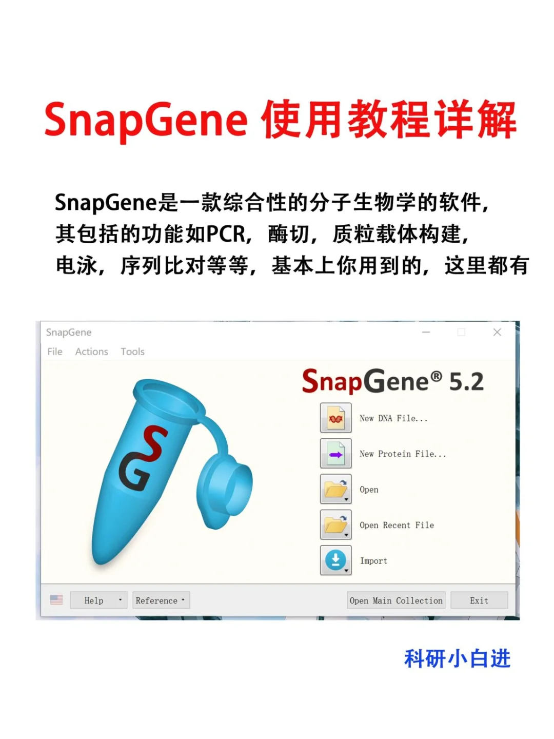 SnapGene软件使用教程【医学科研干货!】