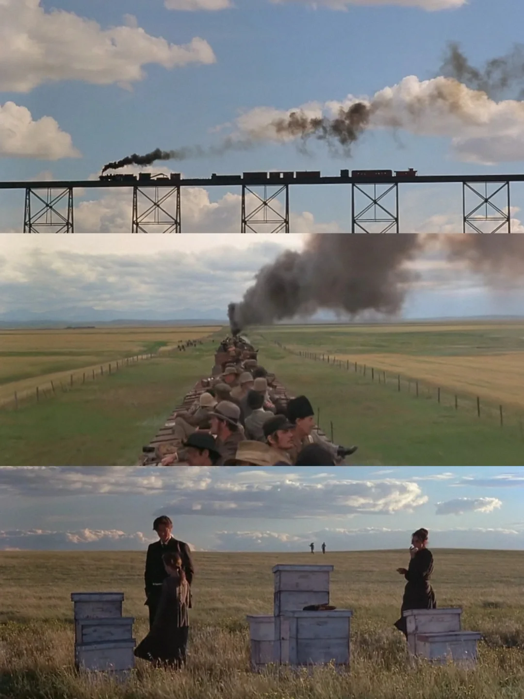 😭这么好看的电影我怎么才发现❗❗❗