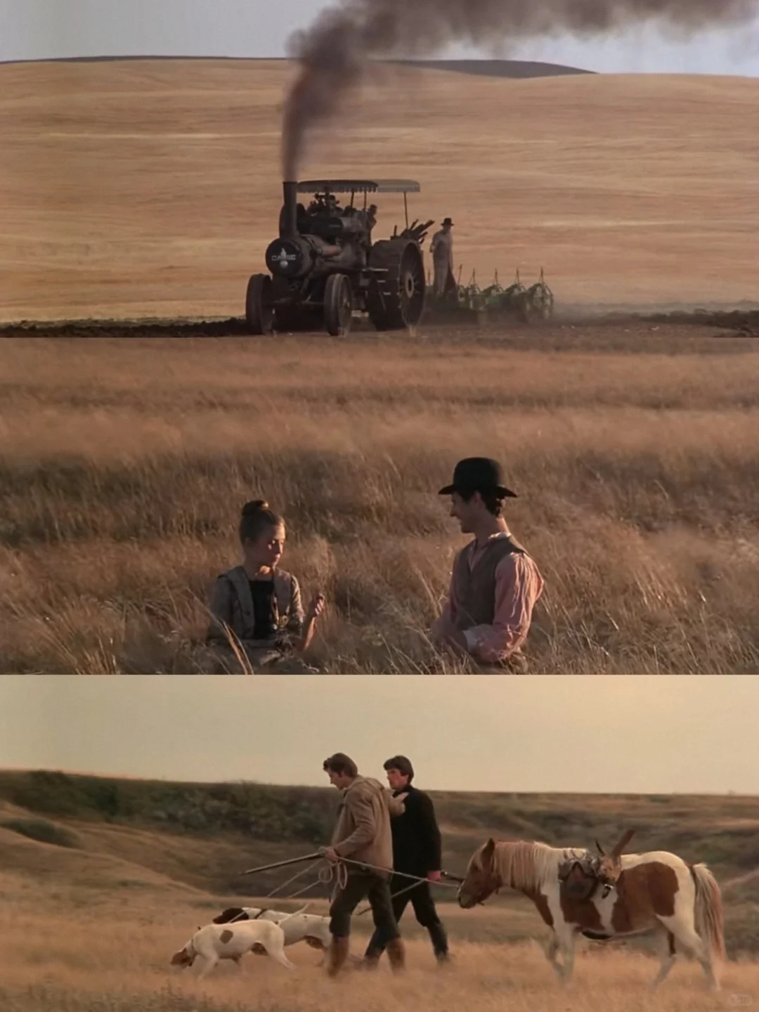 😭这么好看的电影我怎么才发现❗❗❗