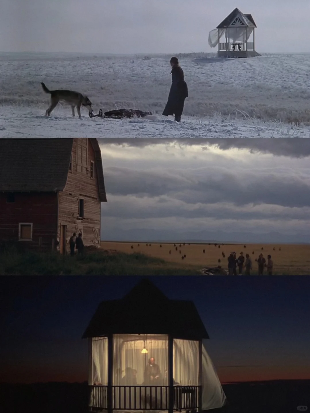 😭这么好看的电影我怎么才发现❗❗❗