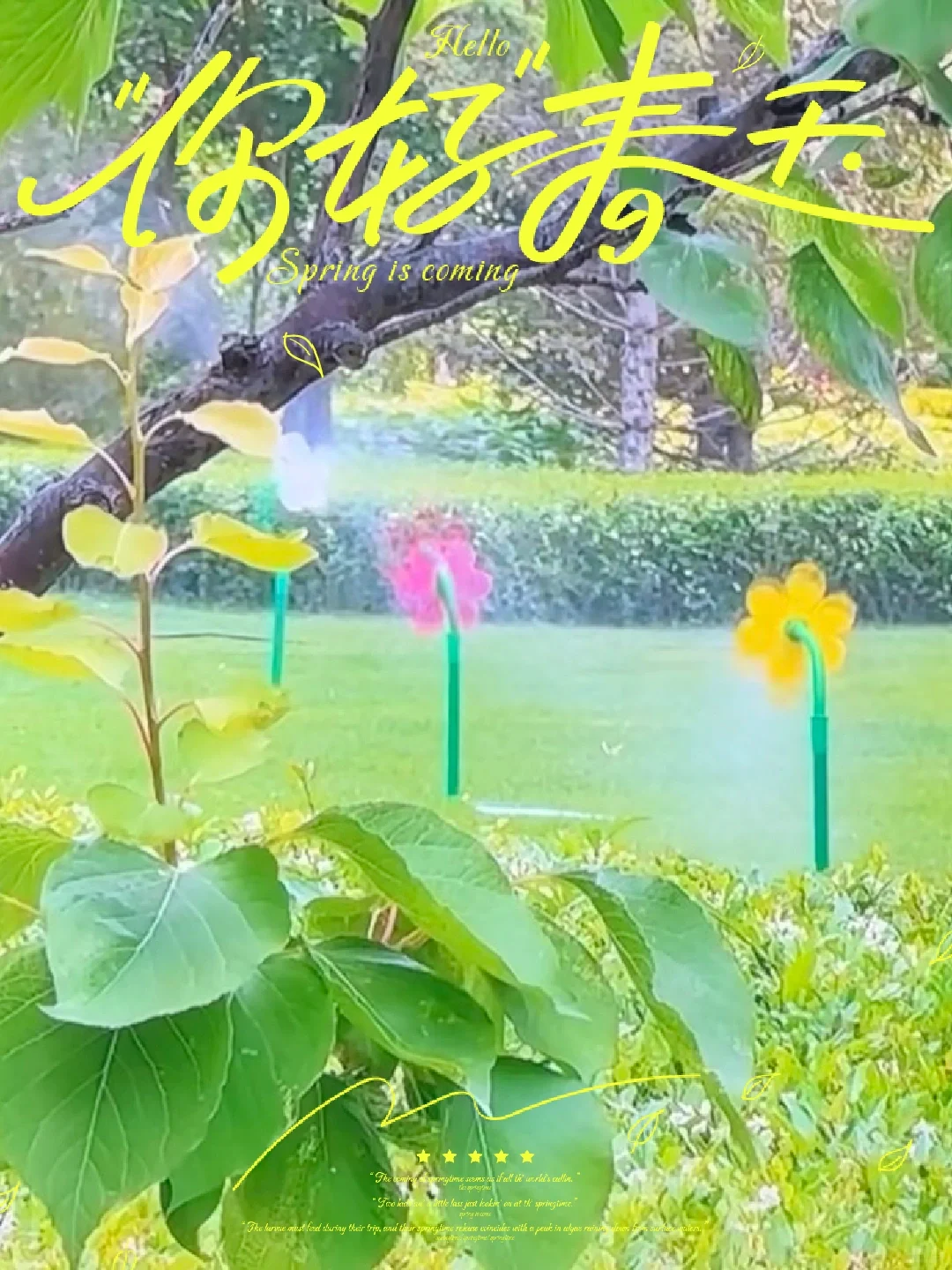 apple TV自用体验分享