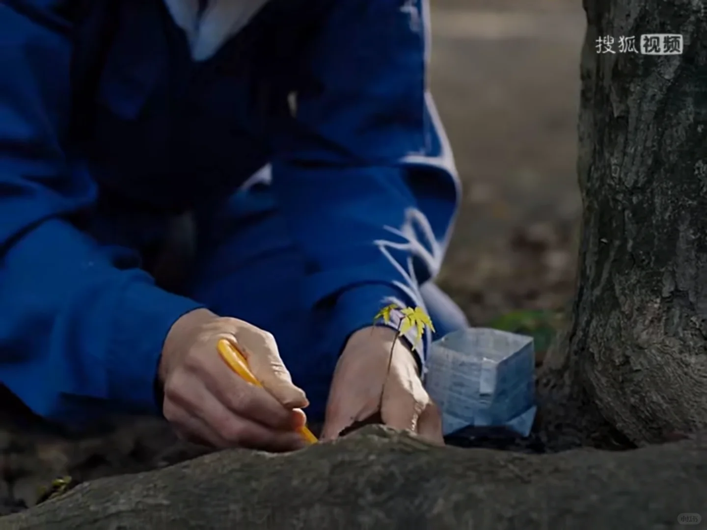 完美的日子 I人的人生电影