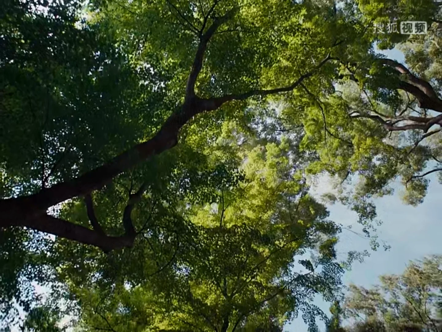 完美的日子 I人的人生电影