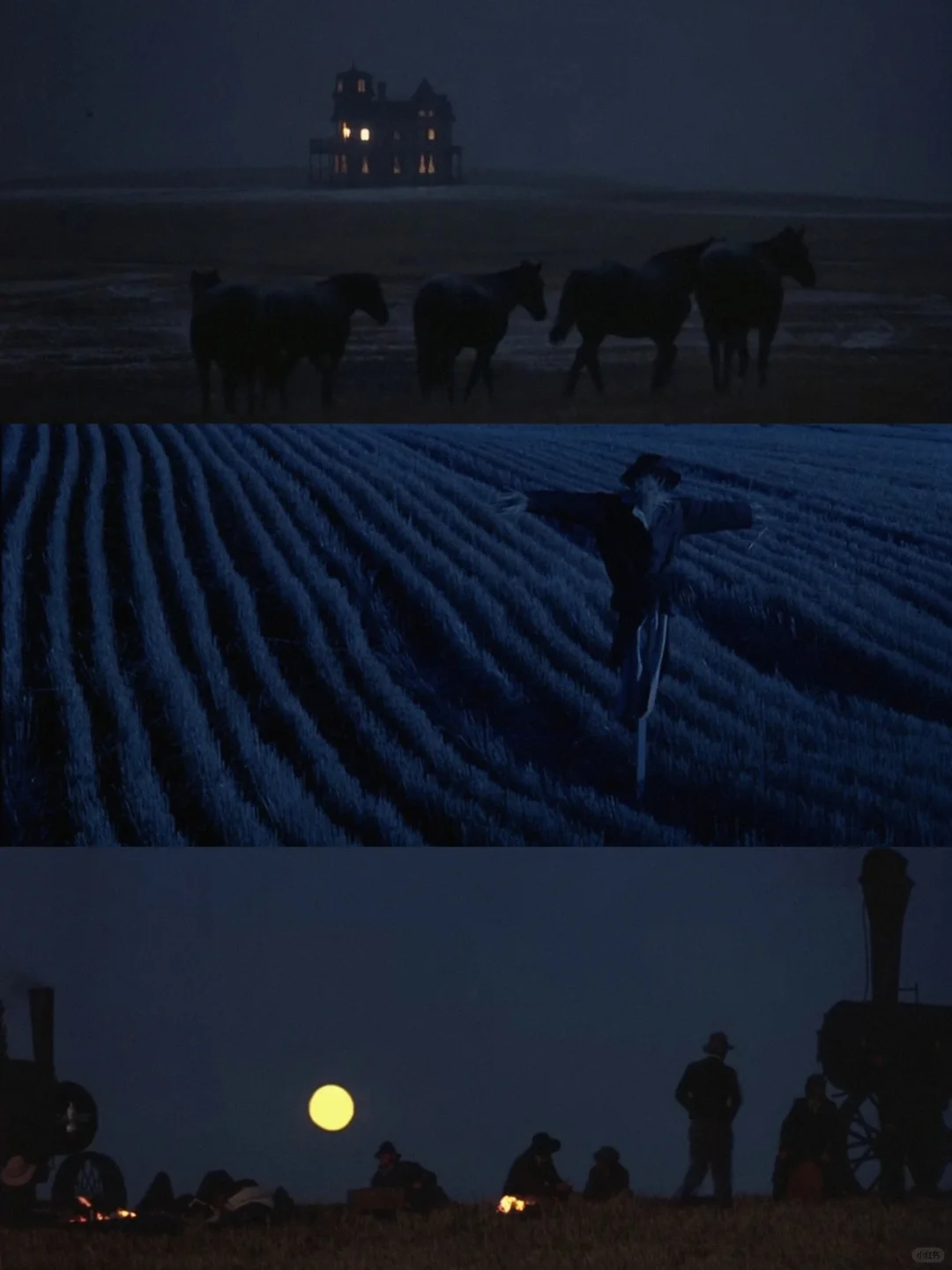 😭这么好看的电影我怎么才发现❗❗❗