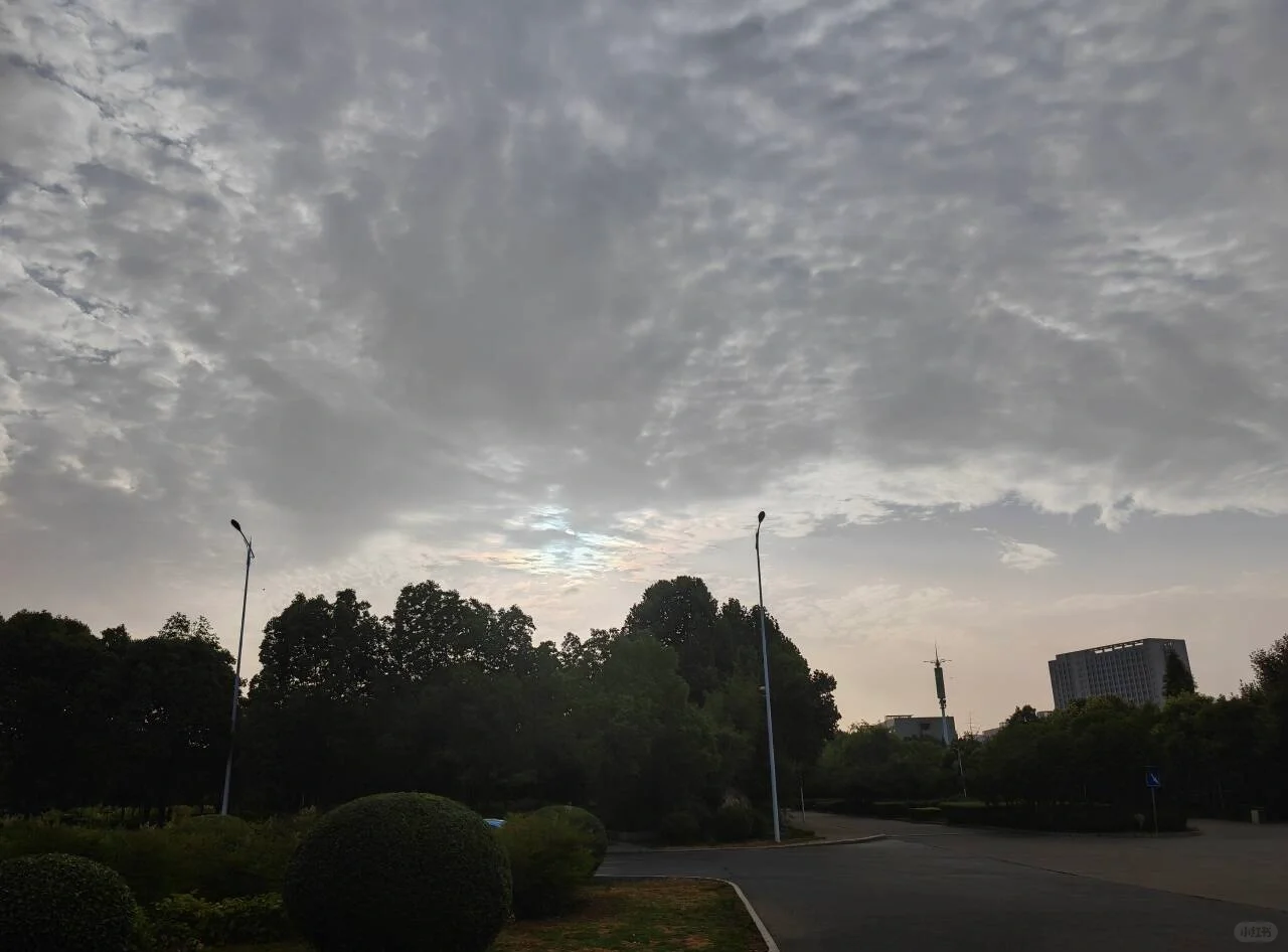 来点科幻或者动作电影推荐