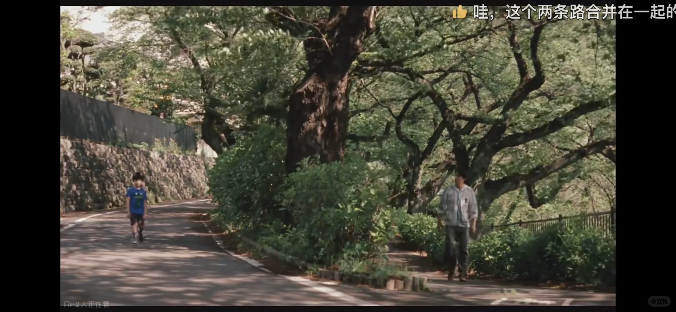 是枝裕和的家庭电影