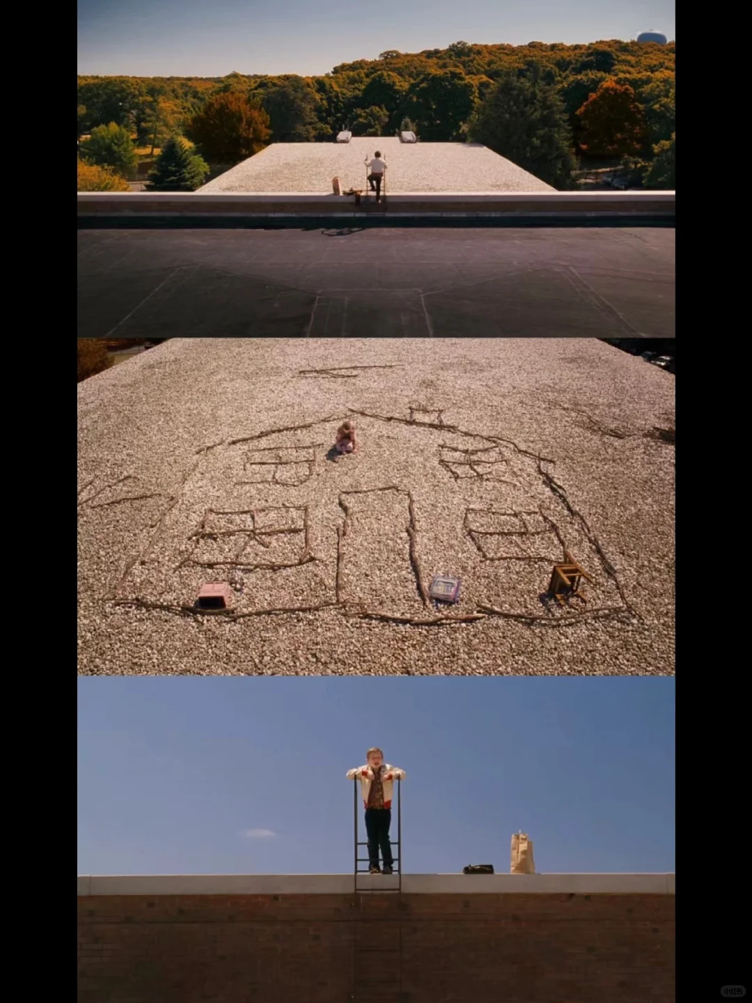 电影|《菲比梦游奇境》守护那份与众不同