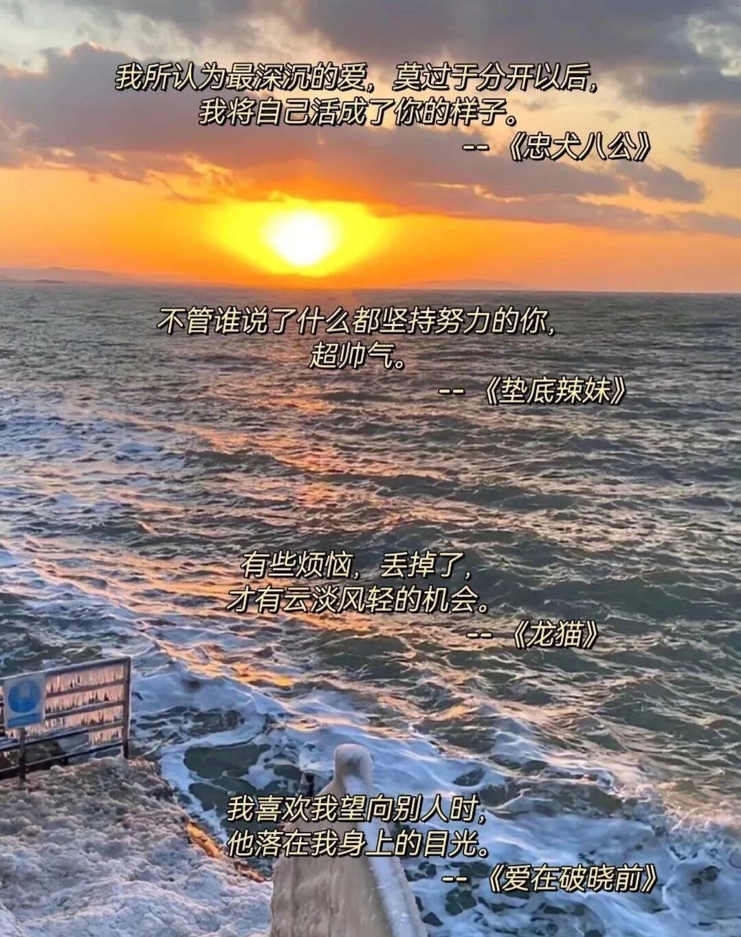 那些惊艳的电影台词