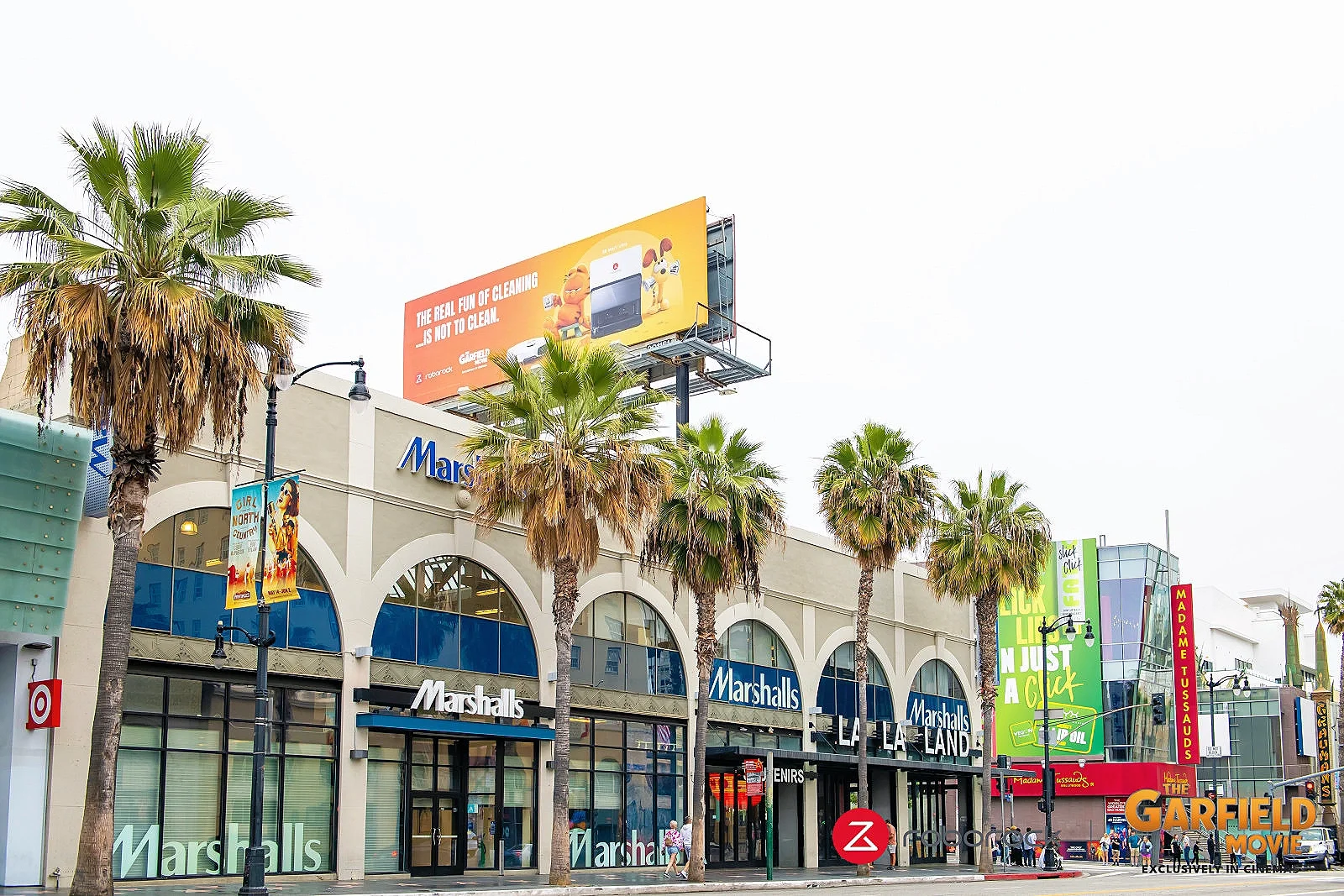加菲猫电影好莱坞首映