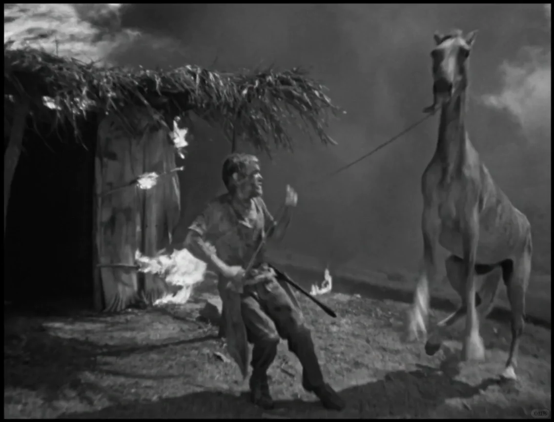 主旋律电影天花板