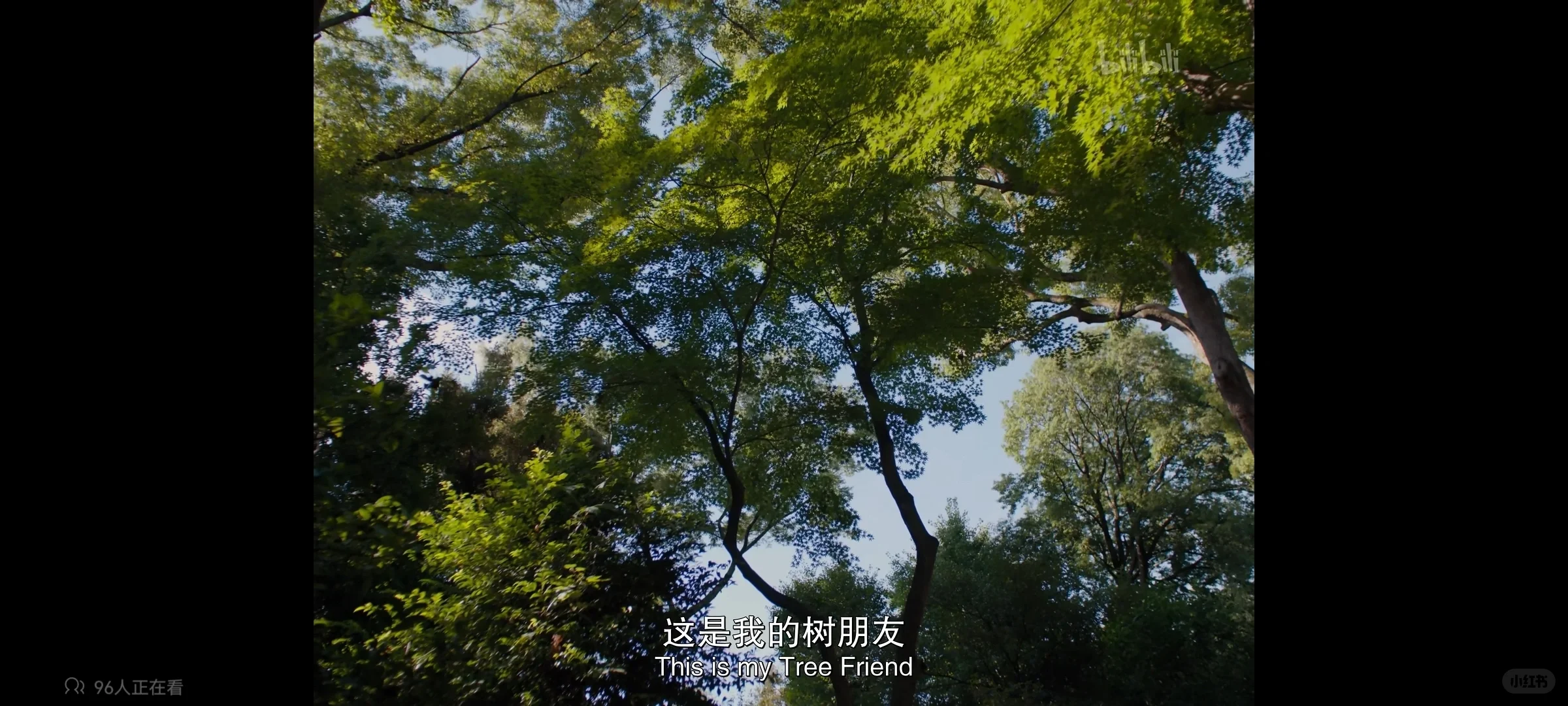 周五晚上该看什么电影