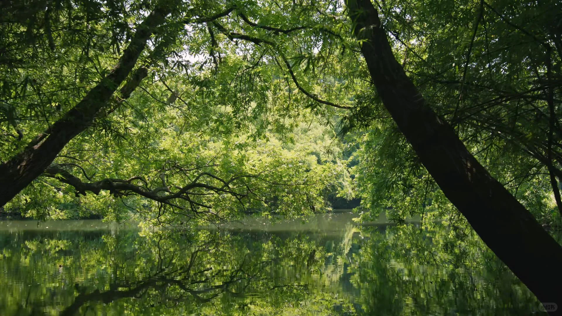 跟着电影学沟通