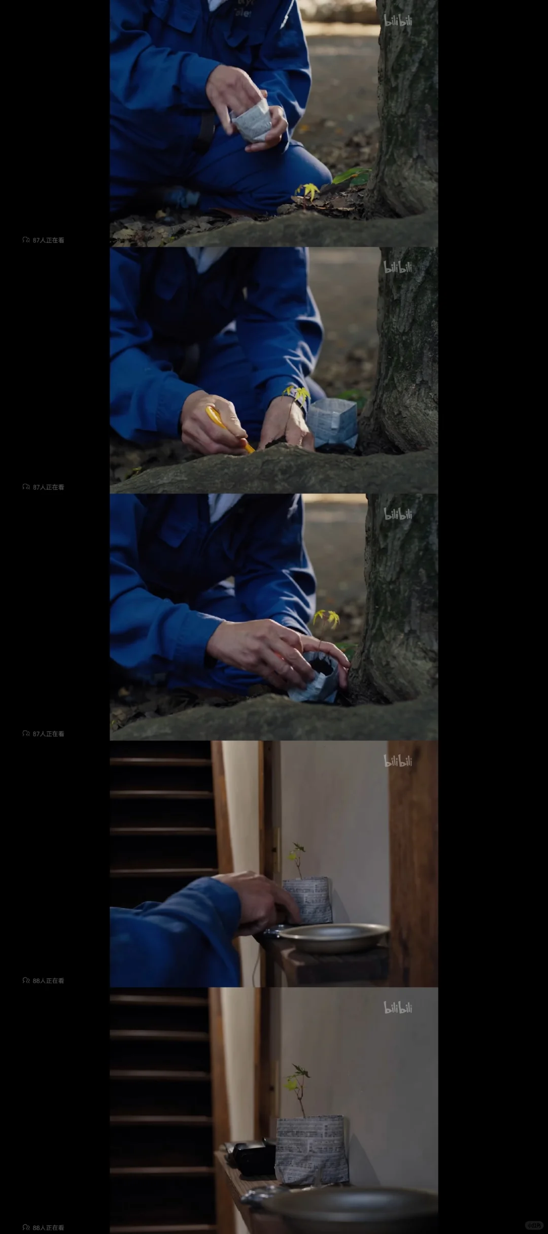 周五晚上该看什么电影