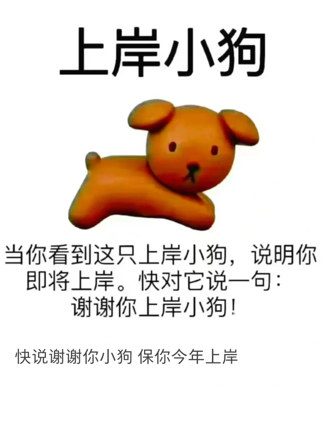 西部计划 三支一扶 刷完就可以过的app❗️