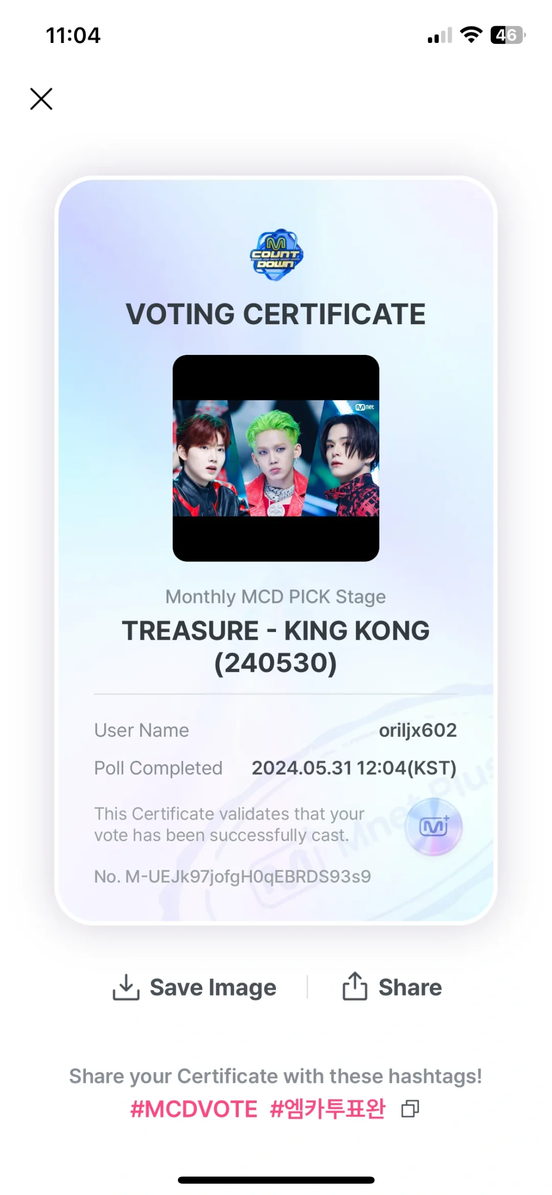 Treasure 投票软件教程