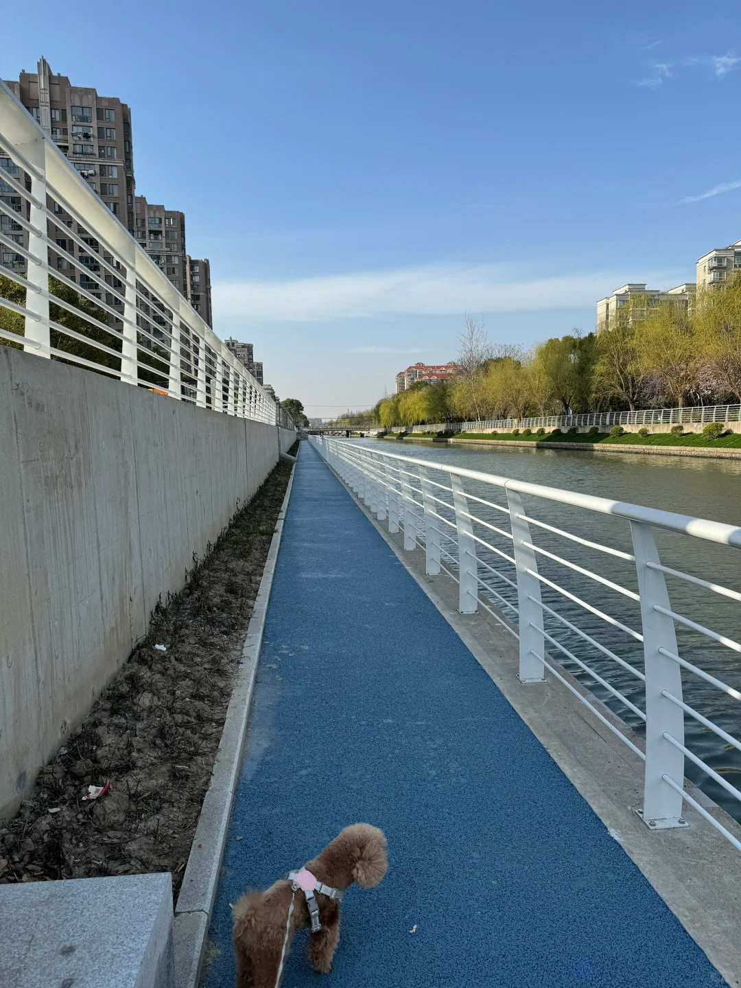 ᰔ´-快乐才会幸运起来✧₊🥥˚·