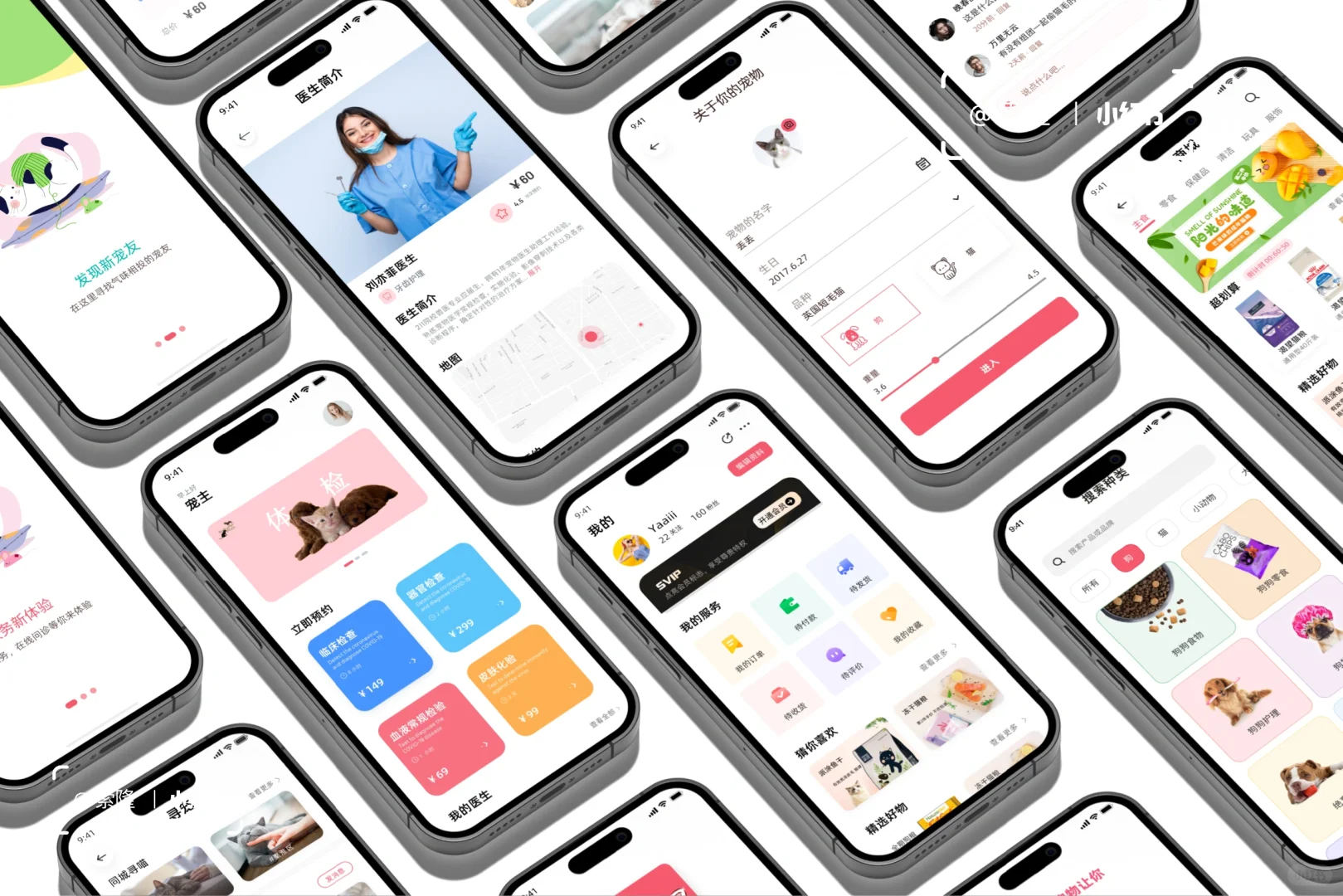 ui设计｜宠物APP展板分享