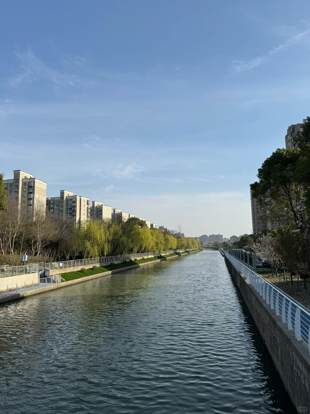 ᰔ´-快乐才会幸运起来✧₊🥥˚·