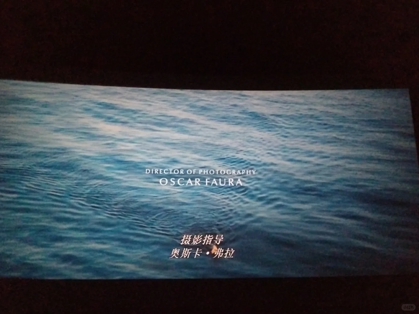 深夜电影泳者之心aka老娘与海