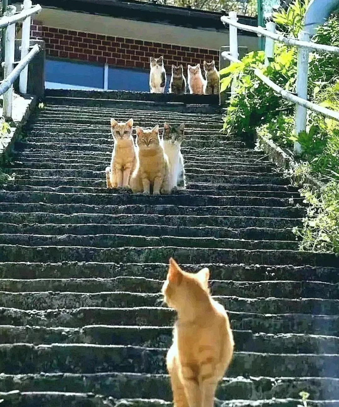 大家觉得市面上还缺少哪些APP