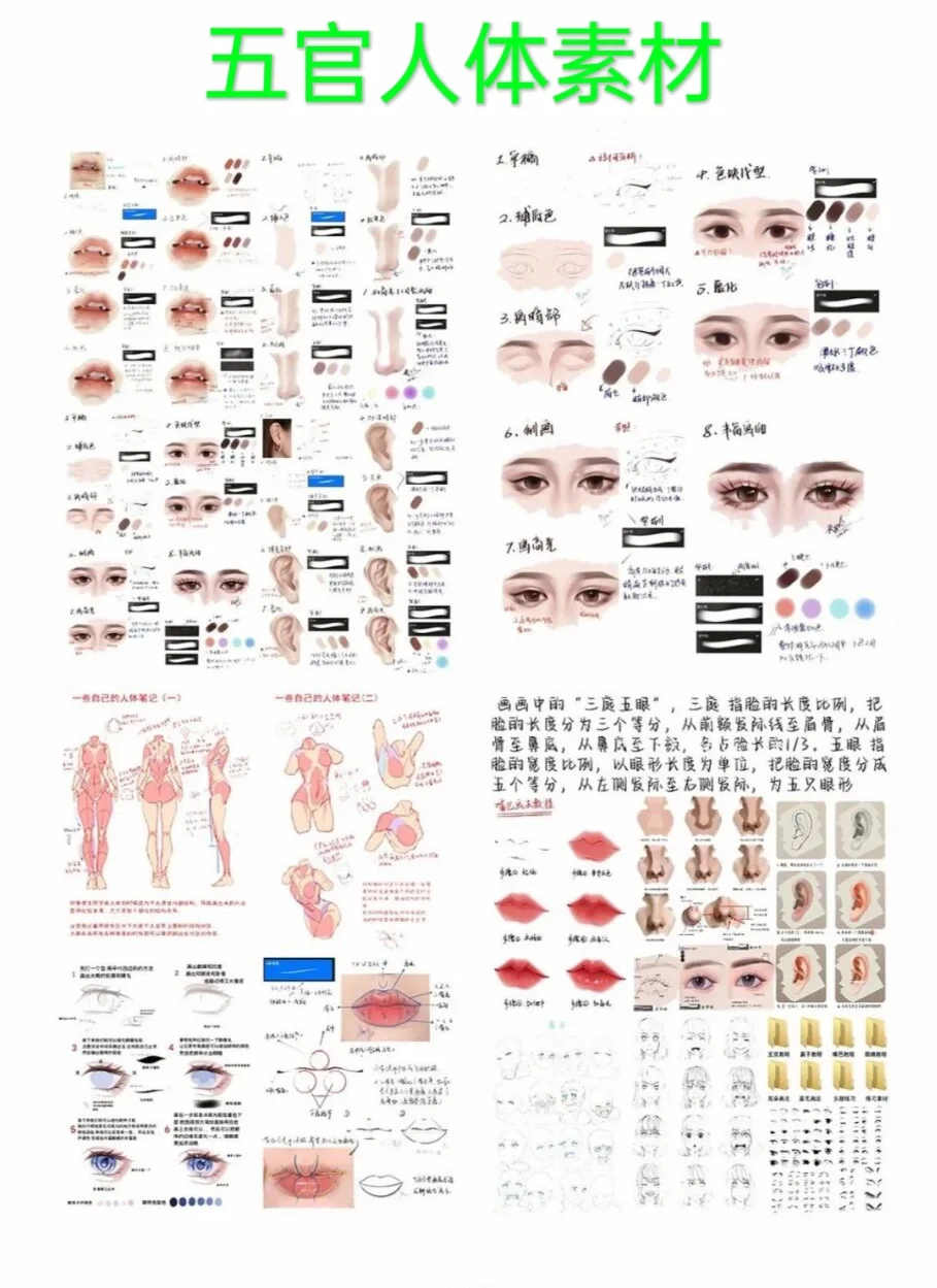 画世界Pro入门学插画，练完这些就ok！