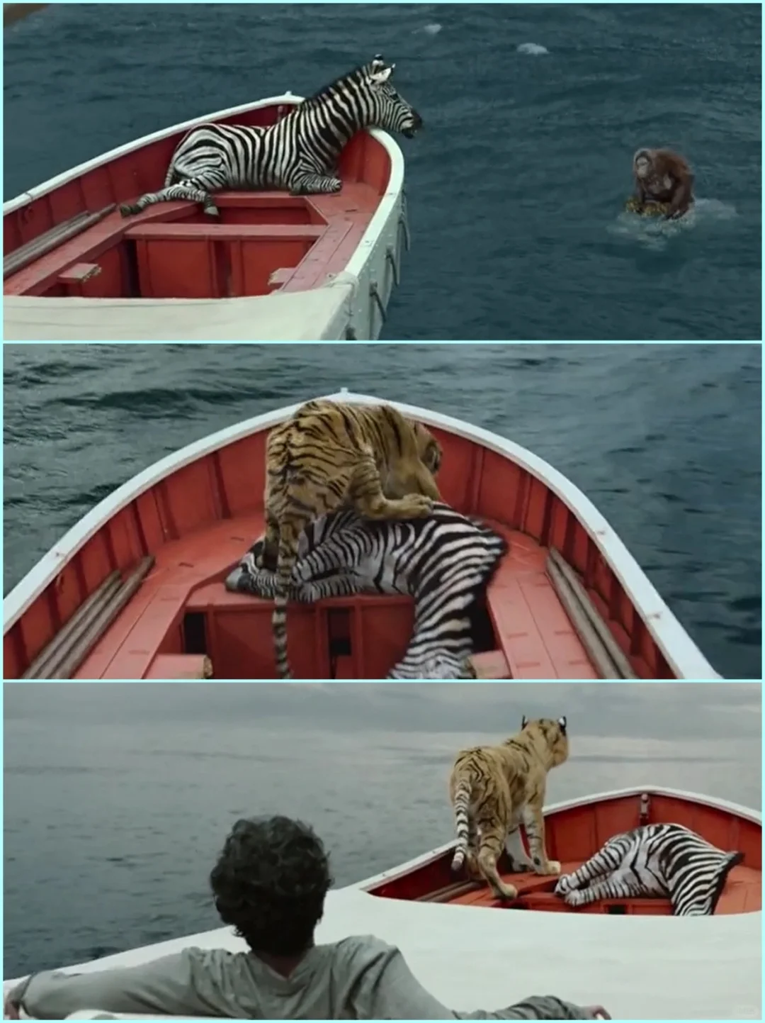 【陪孩子看好电影】生存的关键是什么