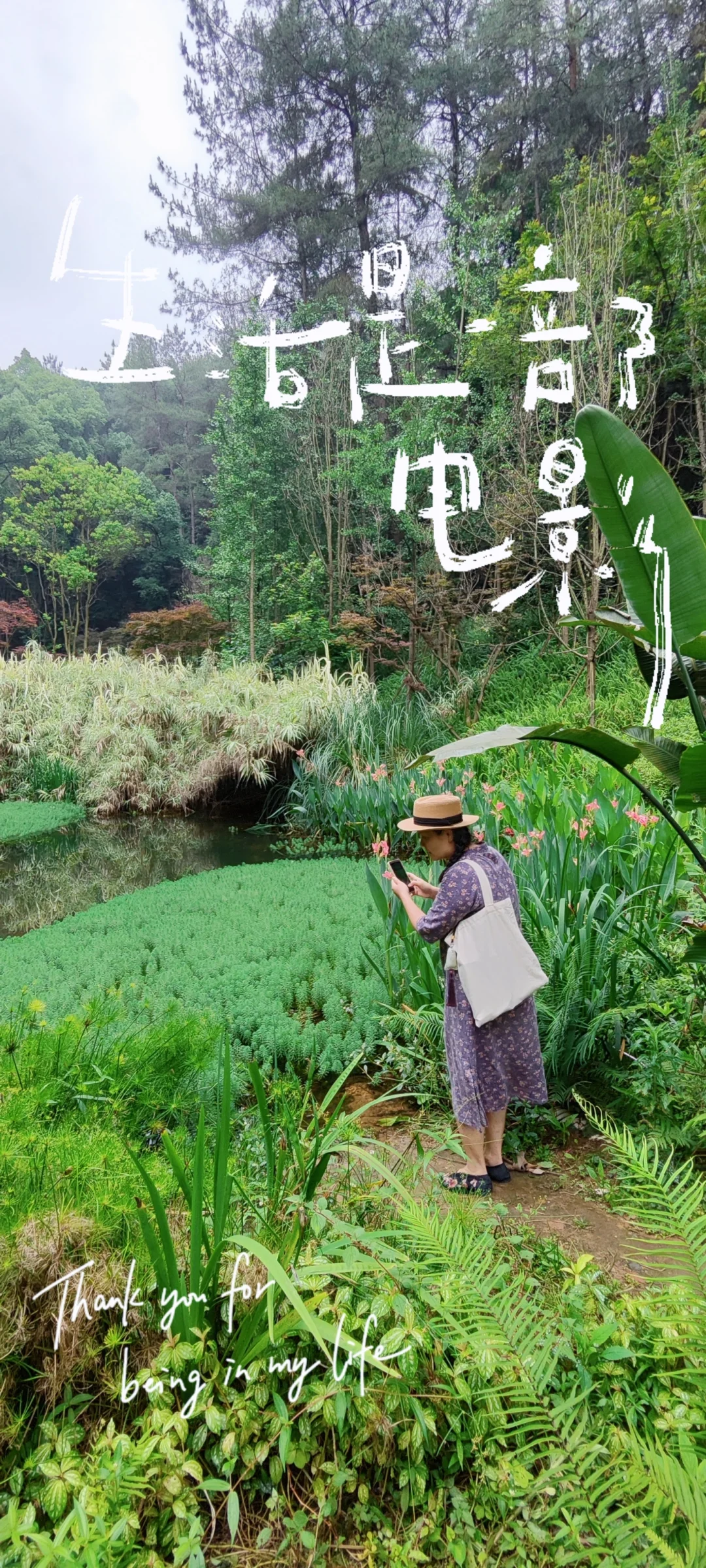 生活是一部电影