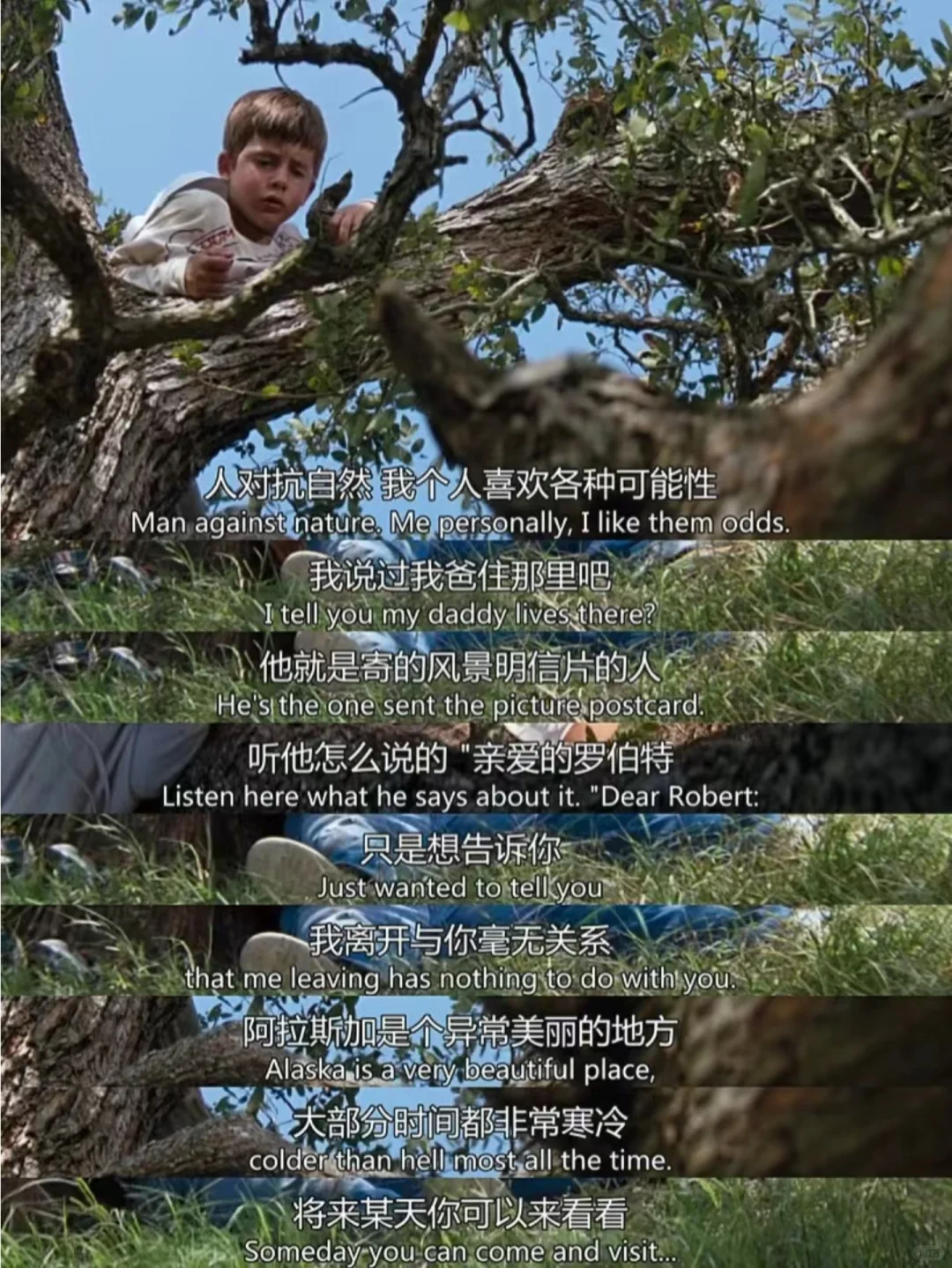 如果你想大哭一场的话,就去看看这部电影吧