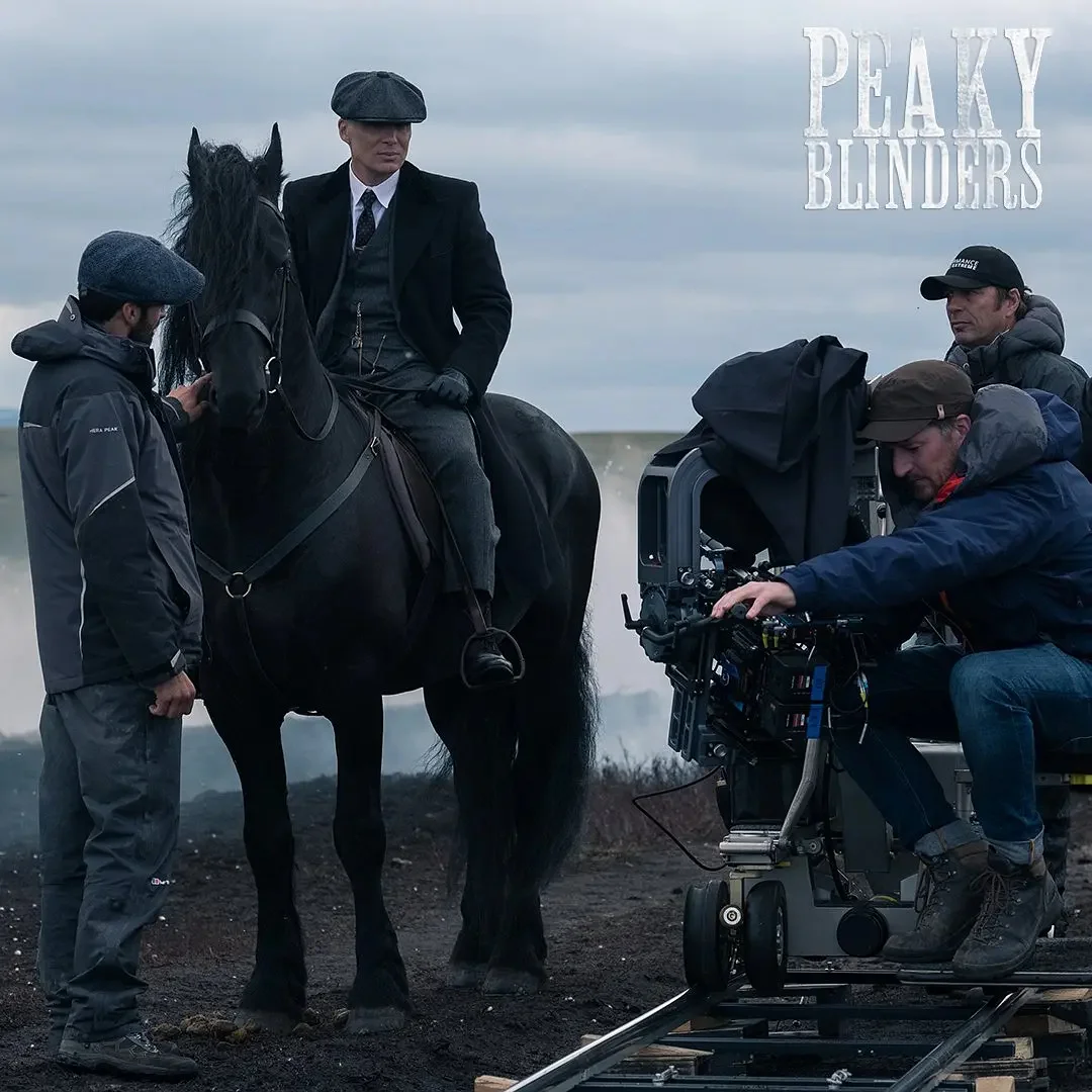 网飞拿下《浴血黑帮大电影》的版权并开了绿灯