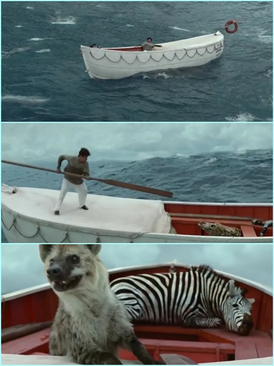 【陪孩子看好电影】生存的关键是什么