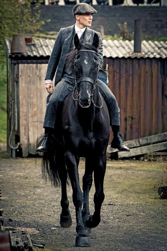 网飞官宣《浴血黑帮》电影版，基莲回归‼️