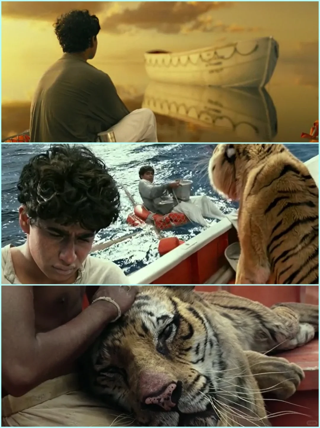 【陪孩子看好电影】生存的关键是什么