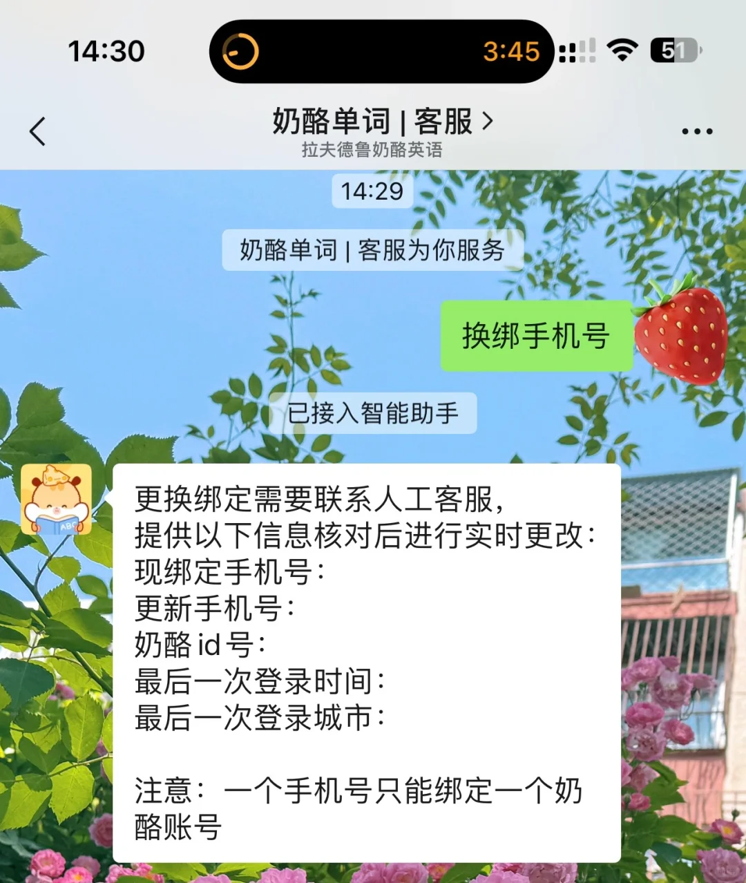 出出出。背单词，软件，奶酪单词，四六级，考研