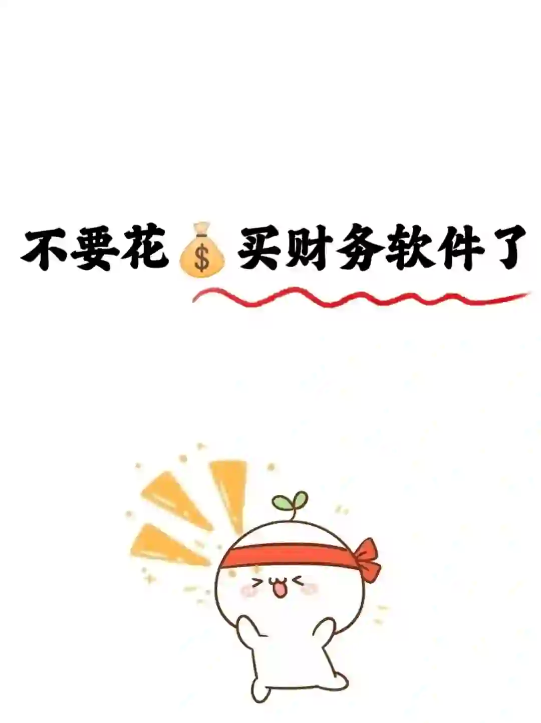 小公司就不要花💰买财务软件了！