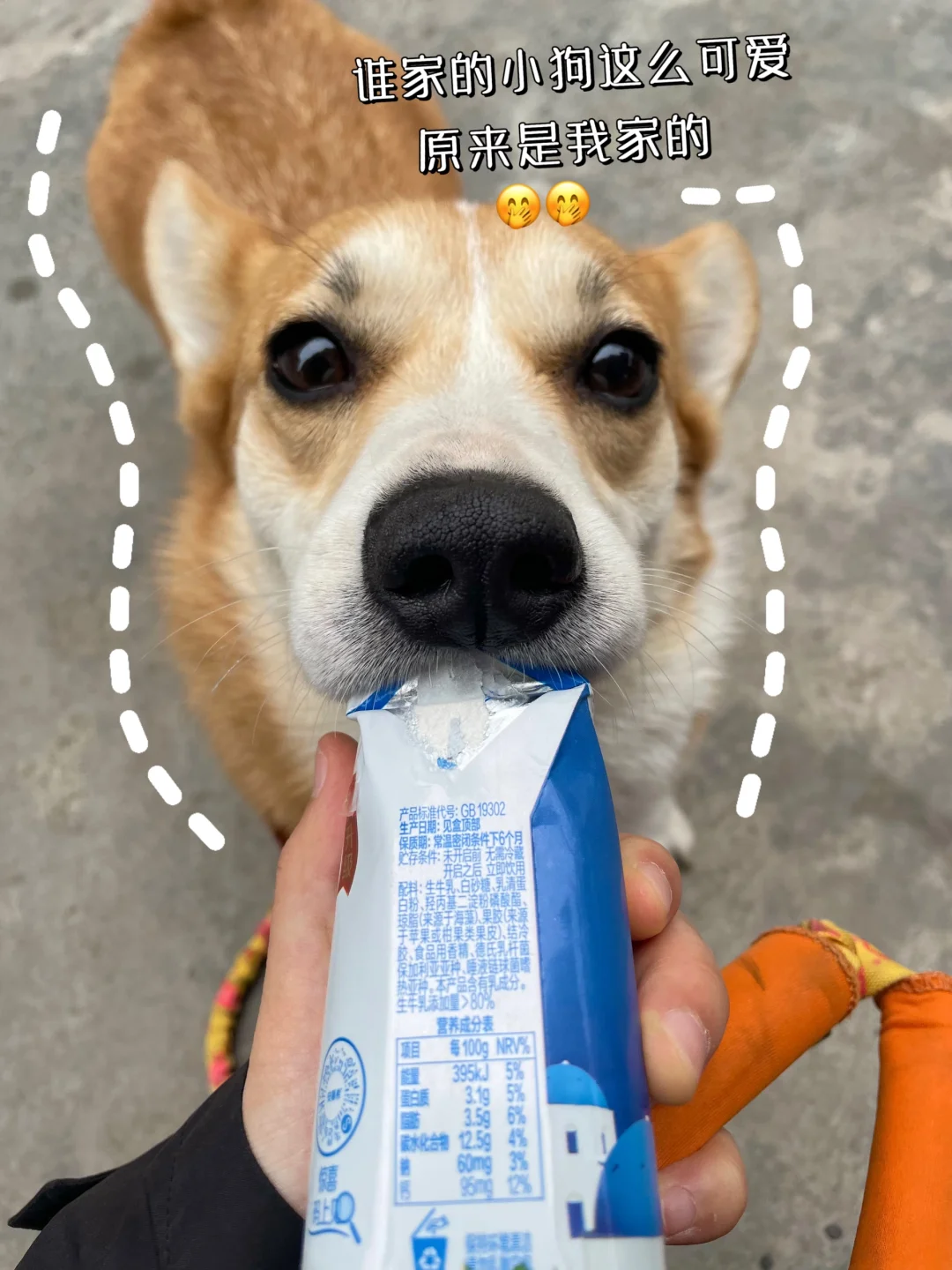 超好用！！月薪4k打工人的宝藏记账App