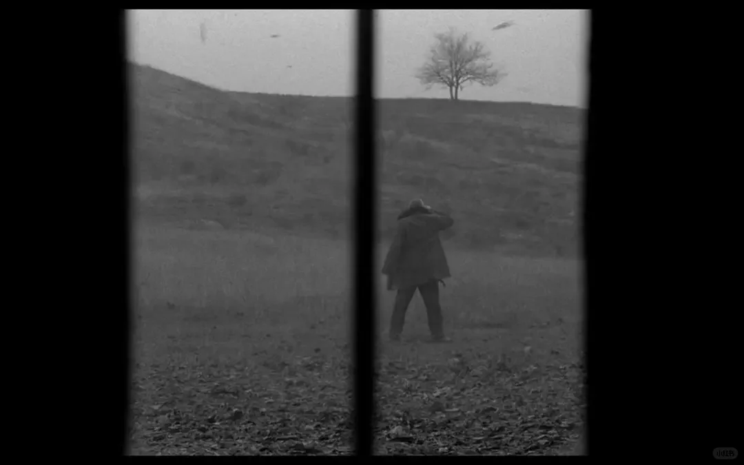 要摄影必须看这部电影