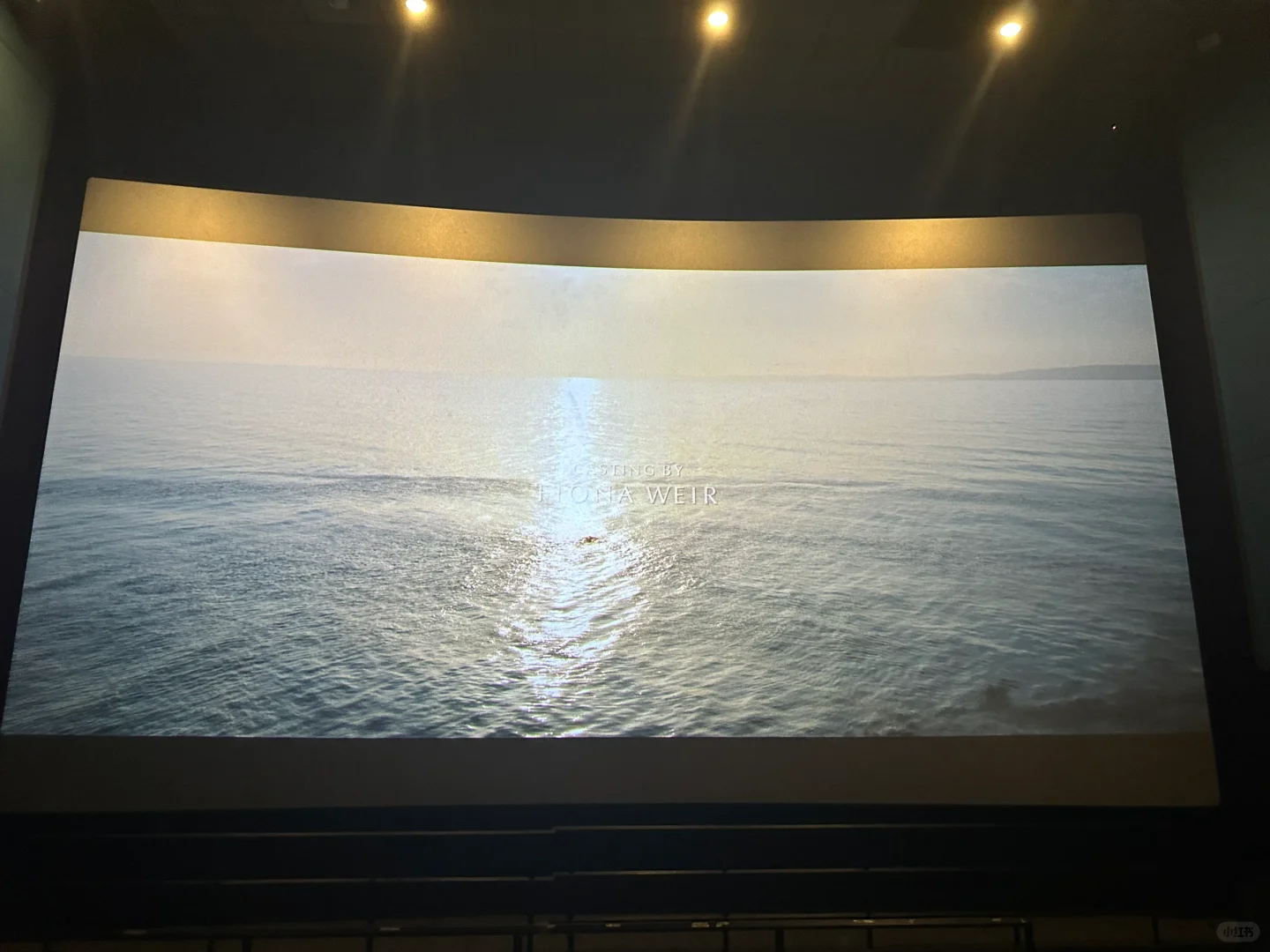 第一次看电影结束后全场鼓掌