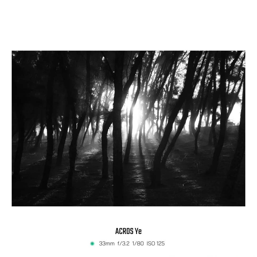 富士专属APP| FUJISTYLE 软件内置水印边框