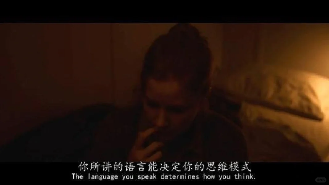 电影Arrival 降临｜如果你有预知