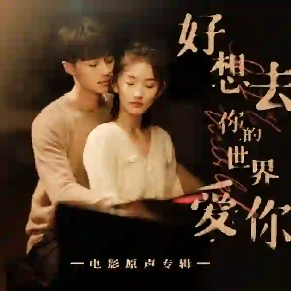 雙火電影 好想去你的世界愛你
