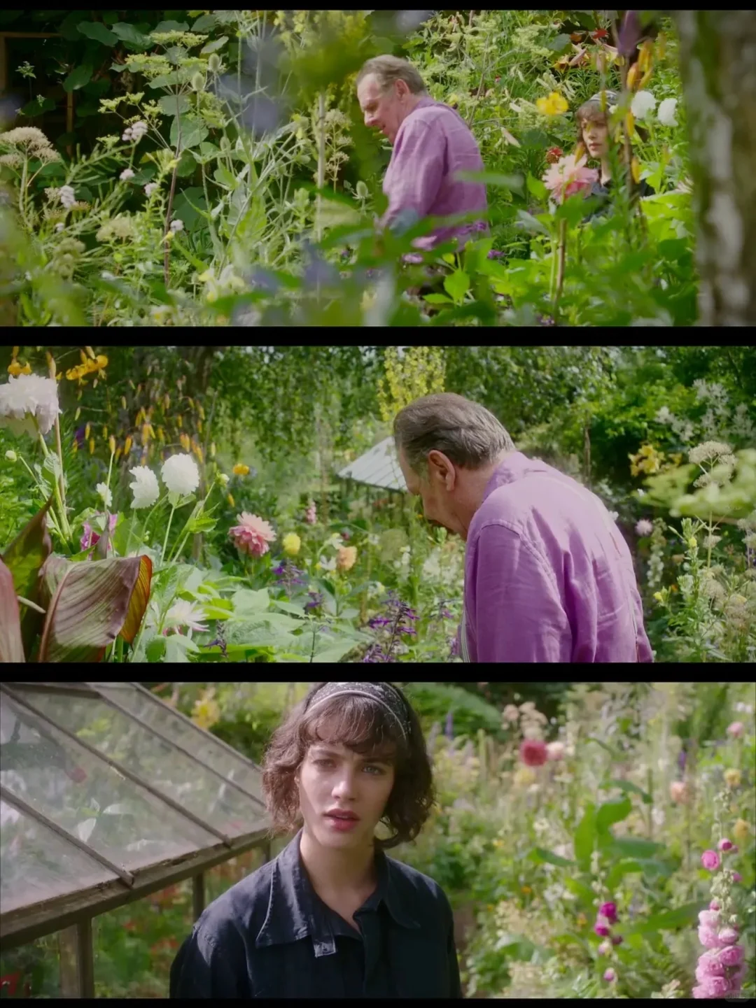 太喜欢这部电影了❗唯美治愈，看完心情大好